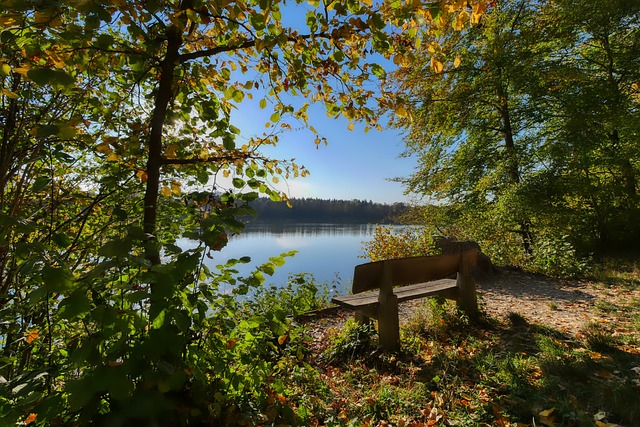 哈登表现抢 哈登表现抢