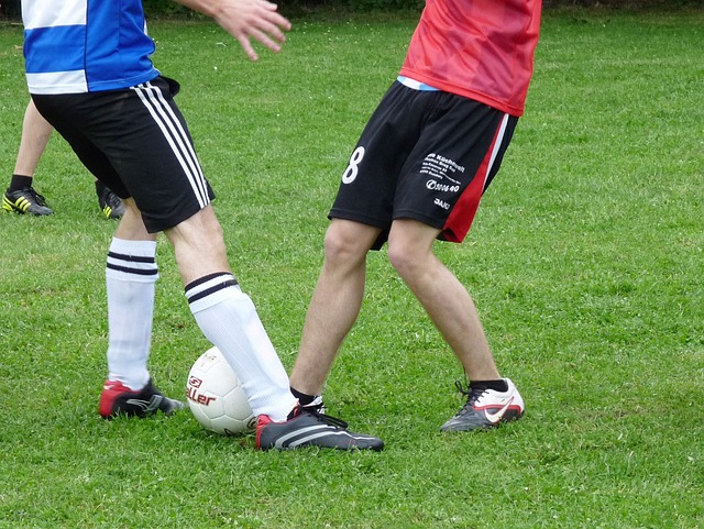 的主教练张 的主教练张