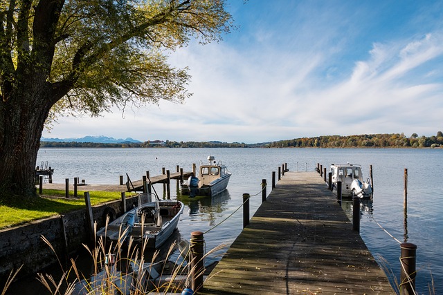 的主教练张 的主教练张