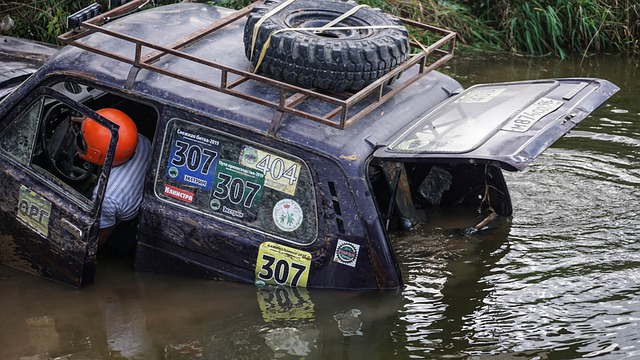 他总是乐于 他总是乐于