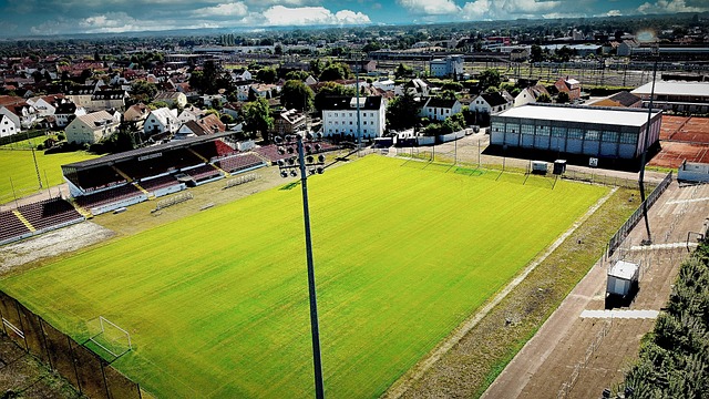 创下新高 创下新高