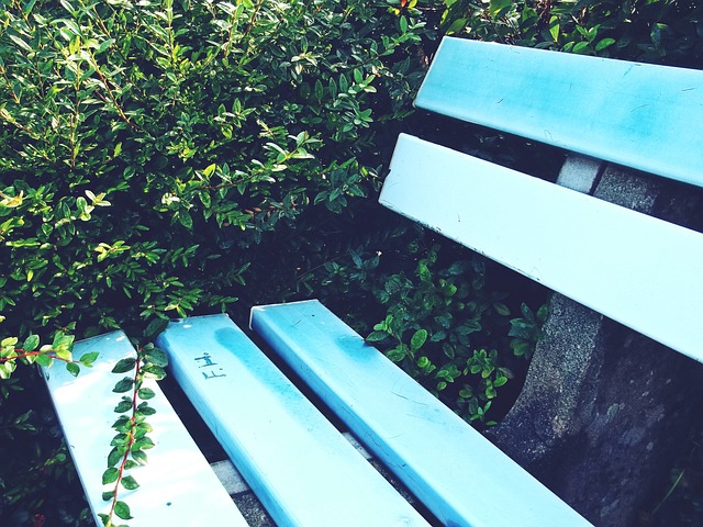 而博格巴 而博格巴