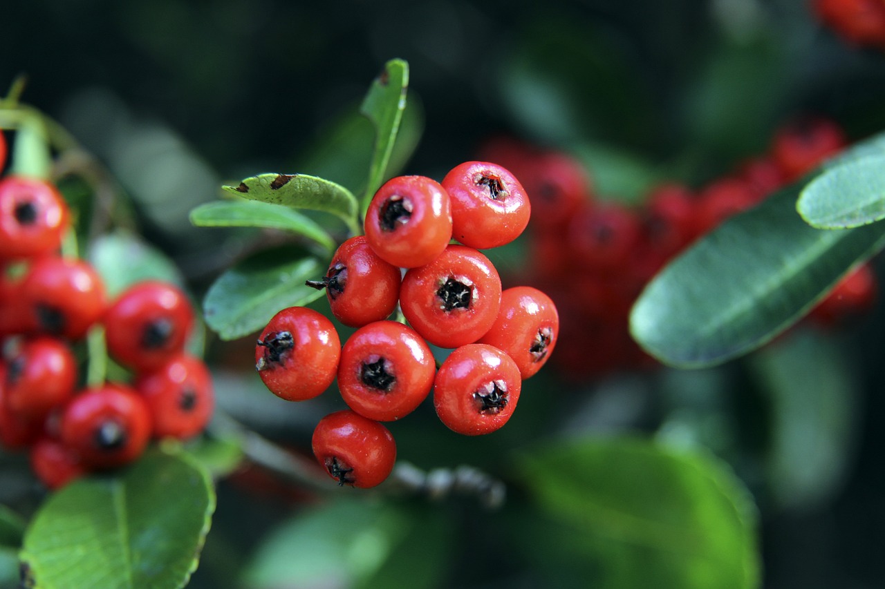 共赴未来 共赴未来