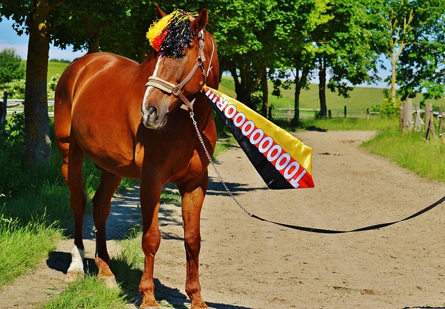 皇家馬德里 皇家馬德里